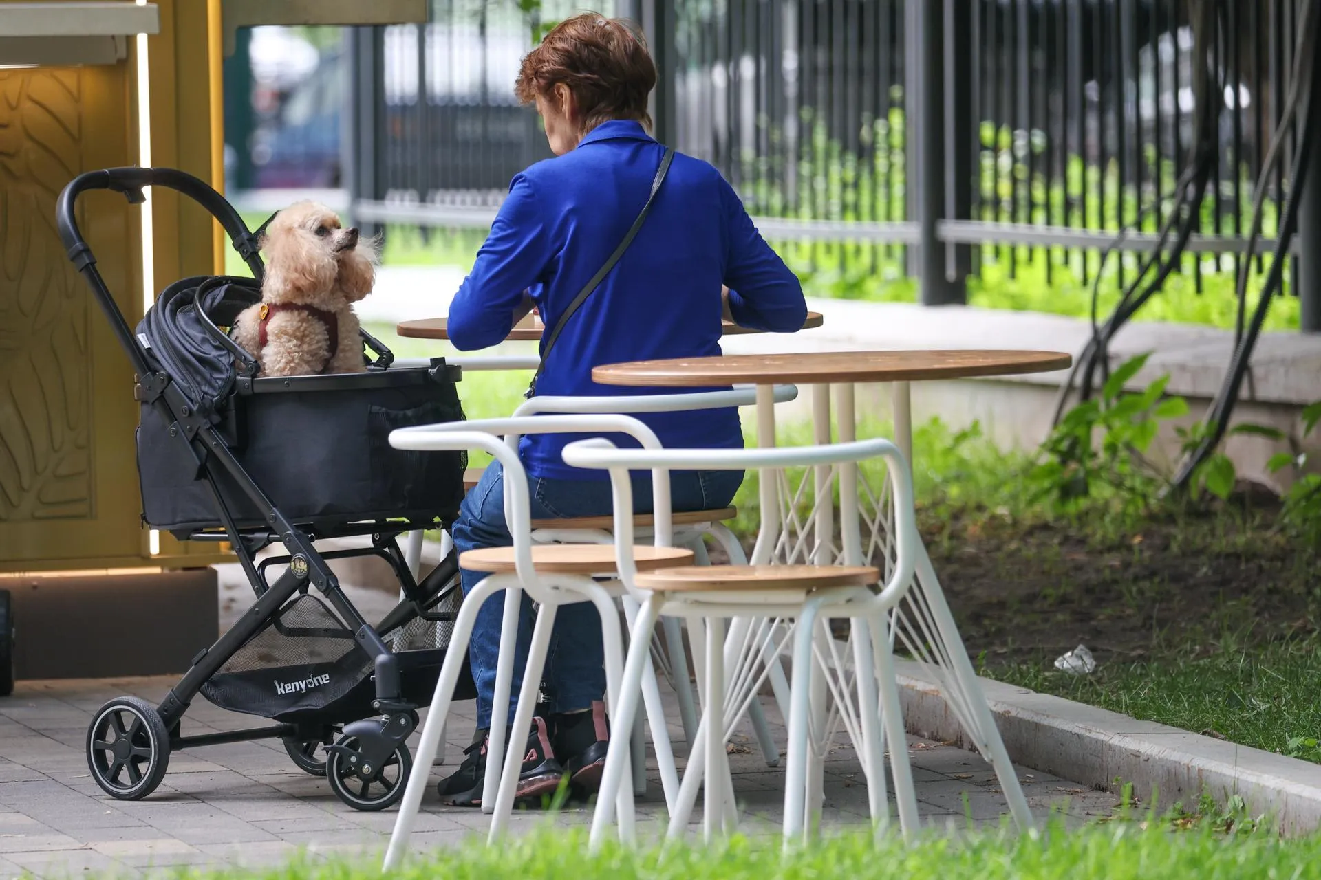 Belkin Alexey/news.ru