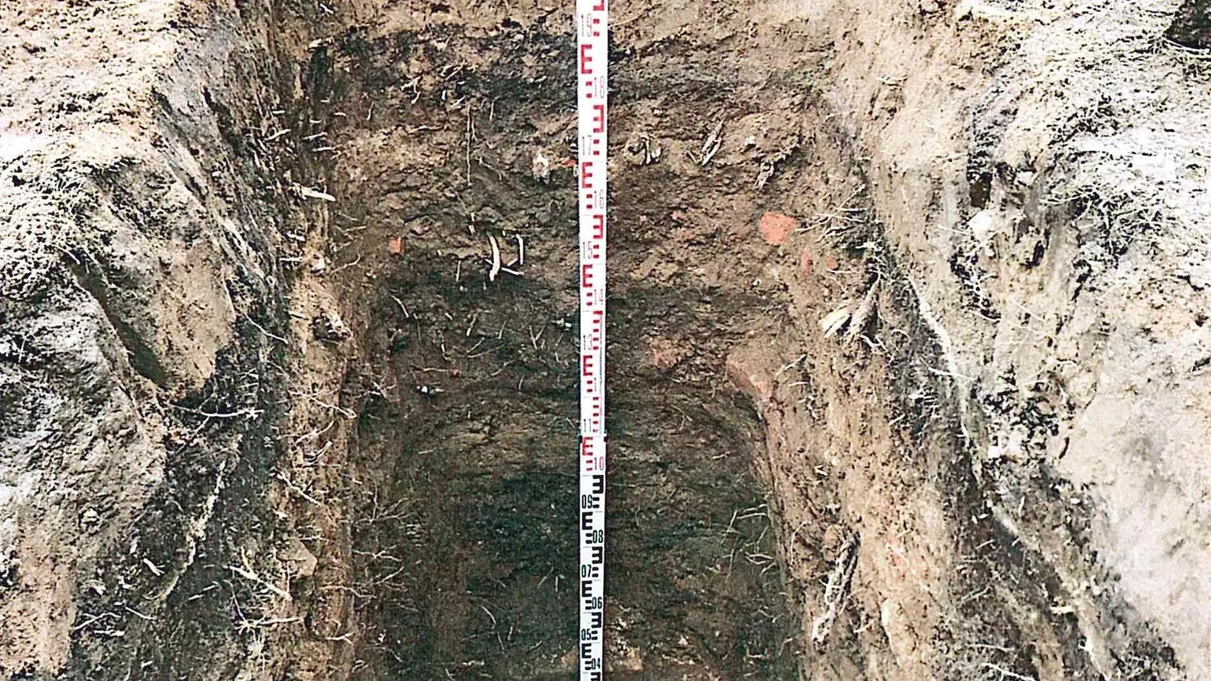 Фото: Главное управление культурного наследия Московской области