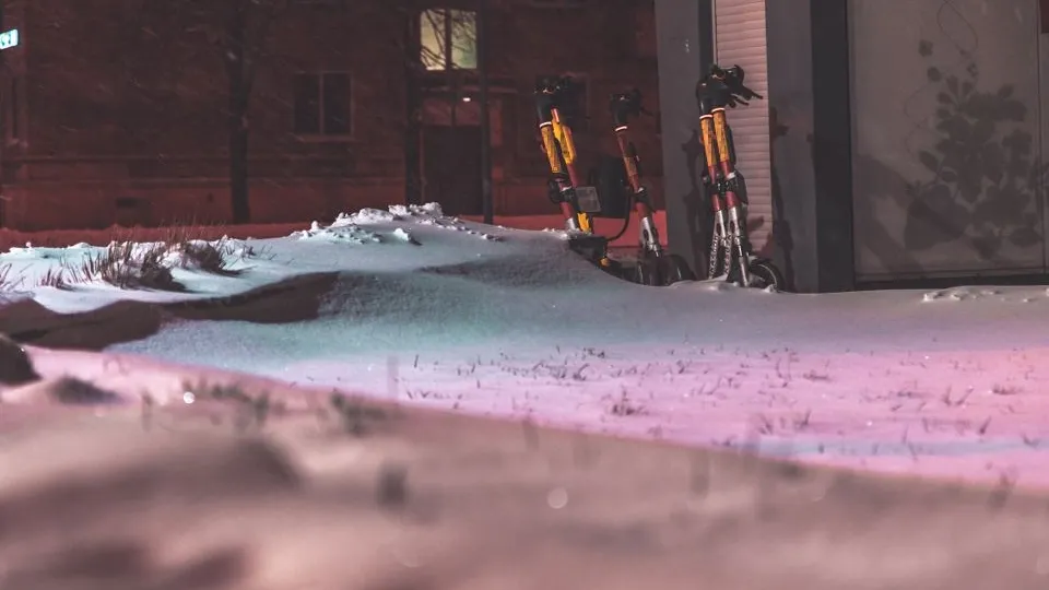 Фото: REGIONS/Владимир Ерастов