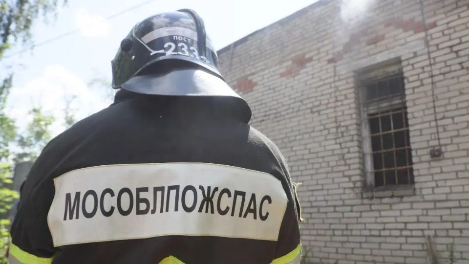 Фото: пресс-служба администрации Сергиево-Посадского г.о.