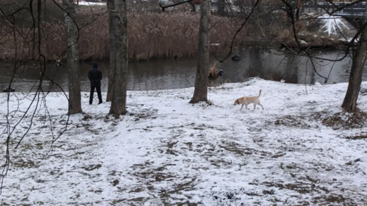 Фото: РИА Новости/Григорий Сысоев