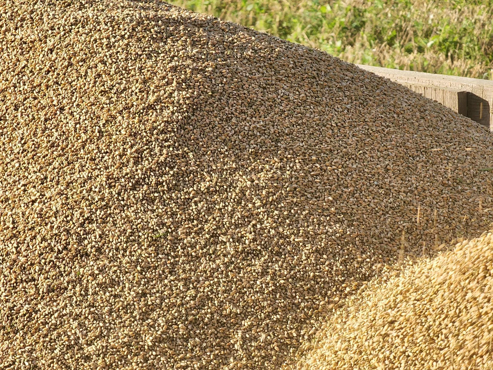 Фото: Андрей Семибратов