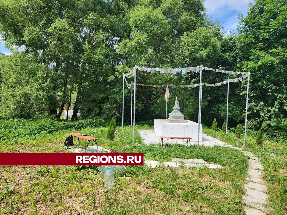 Фото: Мария Панина