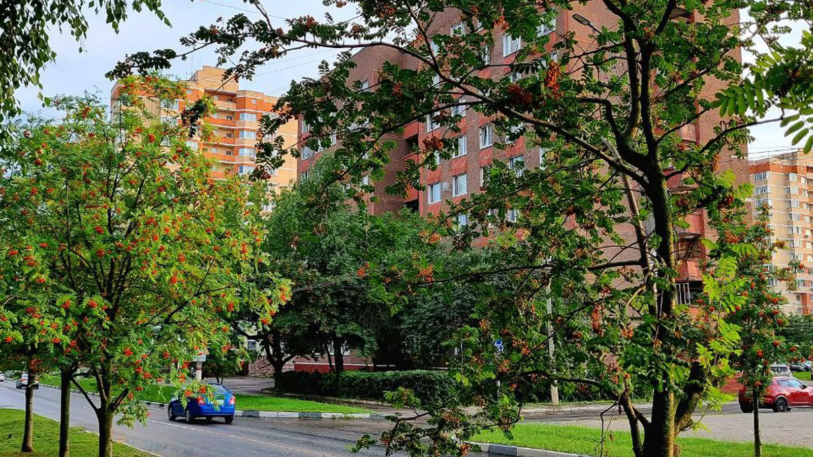 Фото: ТВ «Комсет»