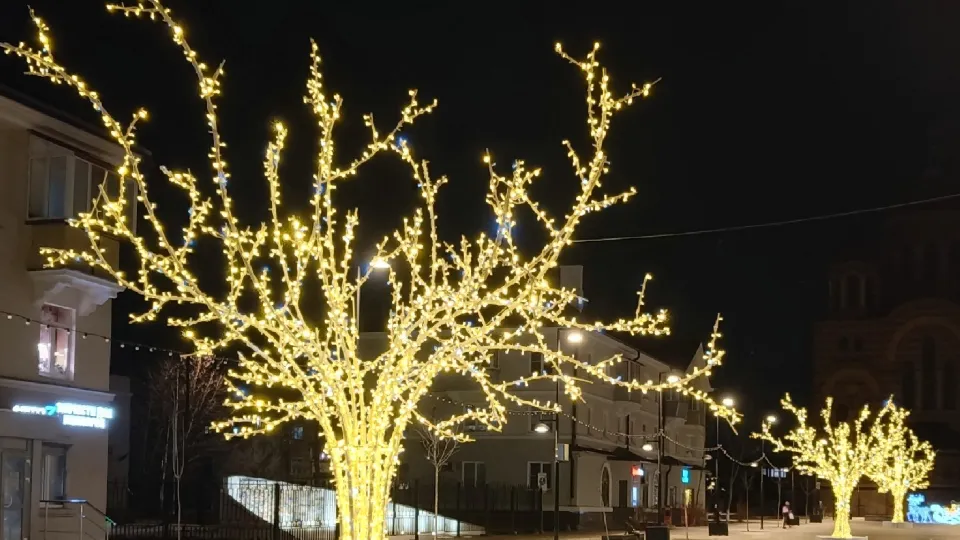 Фото: Александр Гуляев