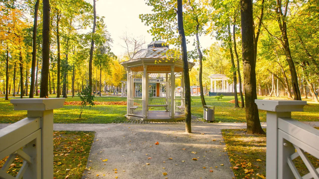 Фото: медиасток.рф