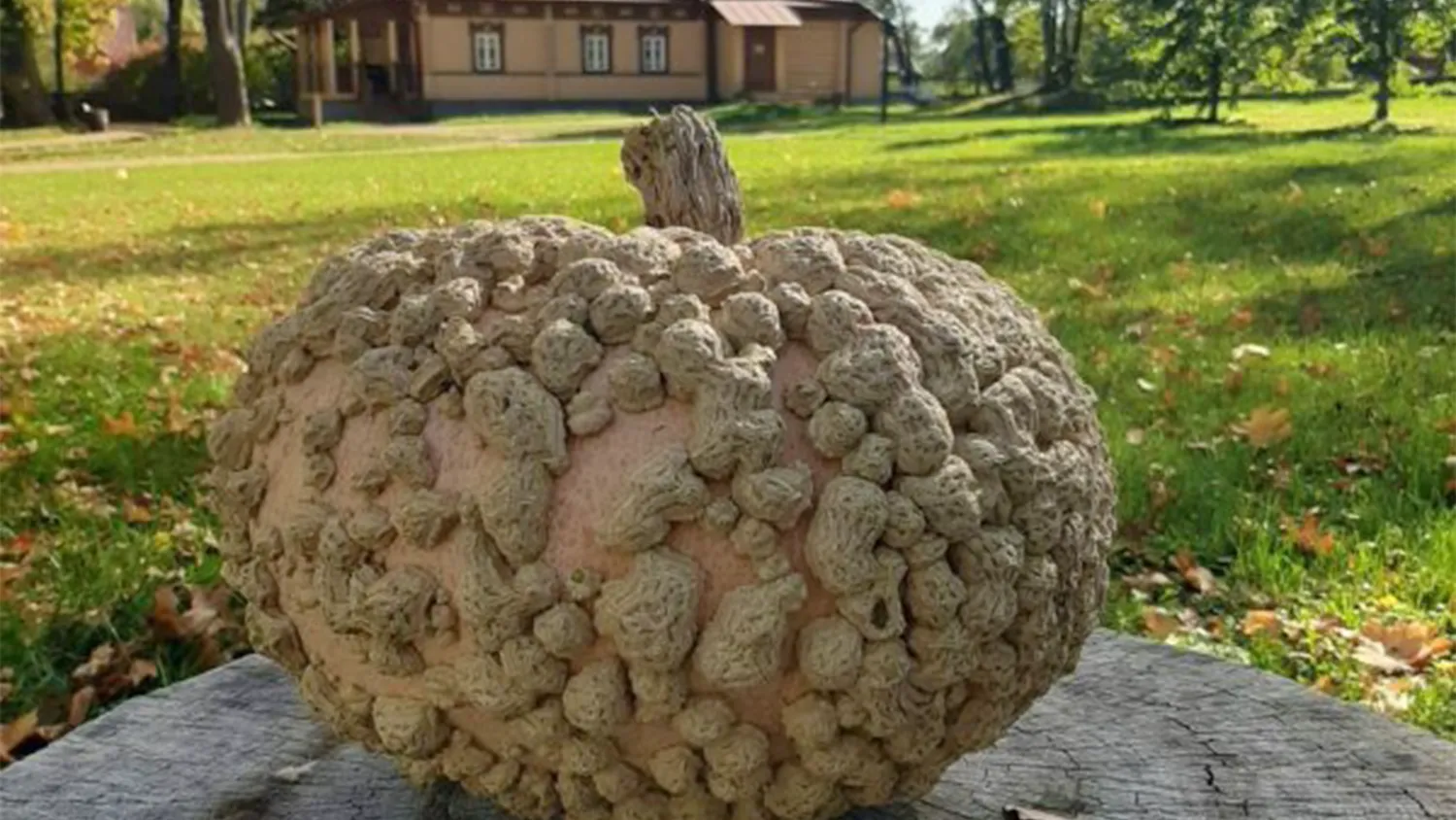 Фото: Коломенско-Зарайский государственный музей-заповедник