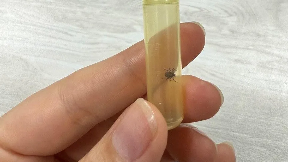 REGIONS/Александра Степанова