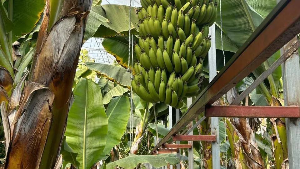 Фото: Компания «Щелково Агрохим»