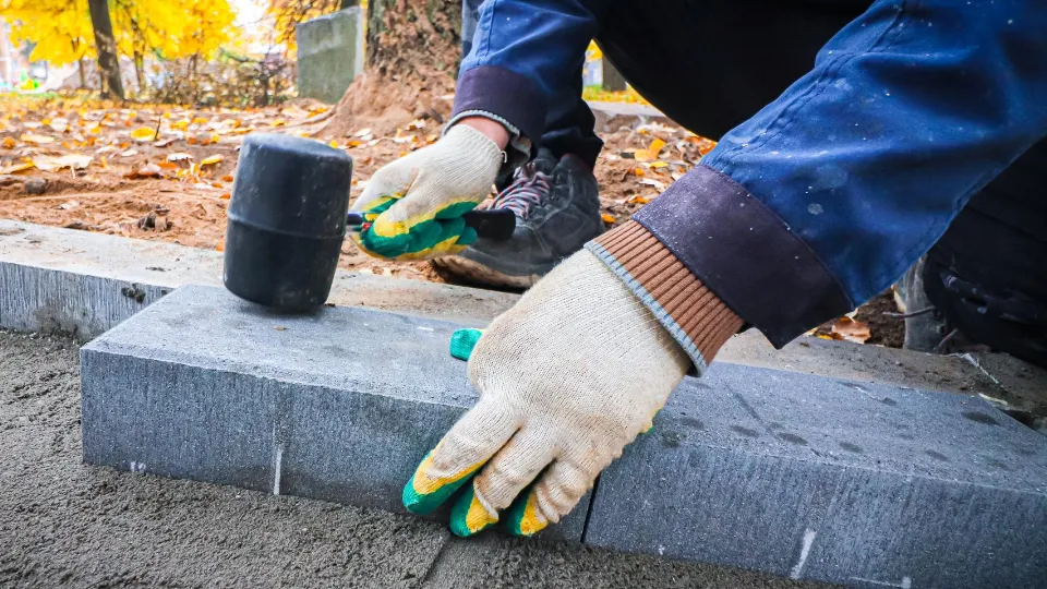 Фото: Министерство благоустройства Московской области