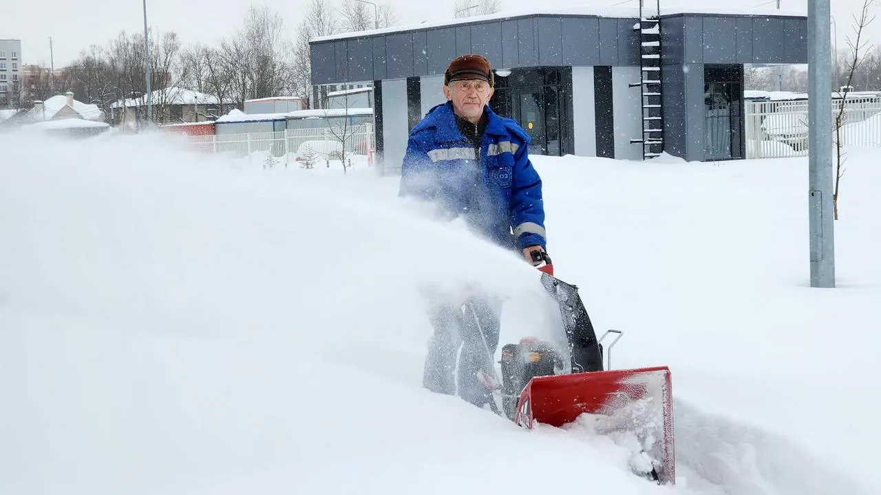 МедиаБанк Подмосковья/Ольга Аввакумова