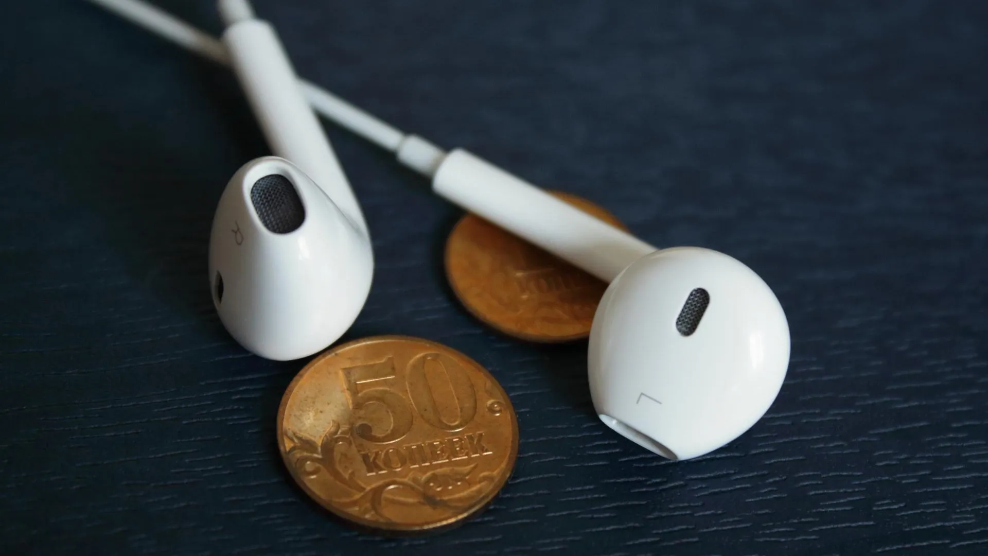 Photo by Alona on StockSnap