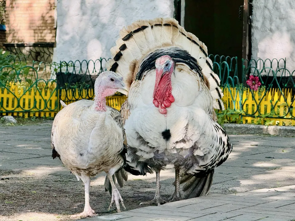 Фото: Ольга Стаферова