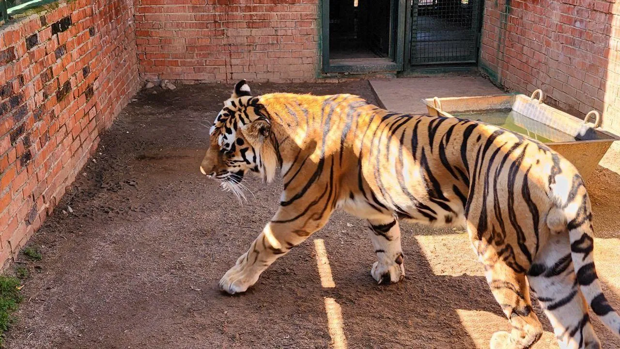 Фото: пресс-служба Администрации г.о. Волоколамск