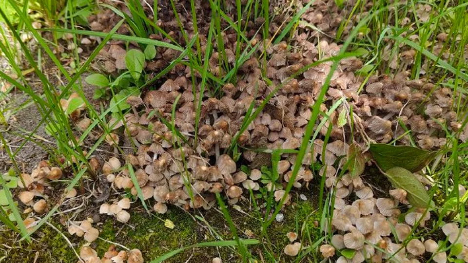 Фото: Иван Федулов