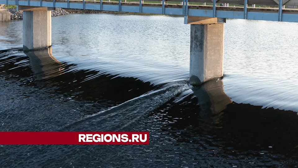 Фото: REGIONS/Евгений Мазепов