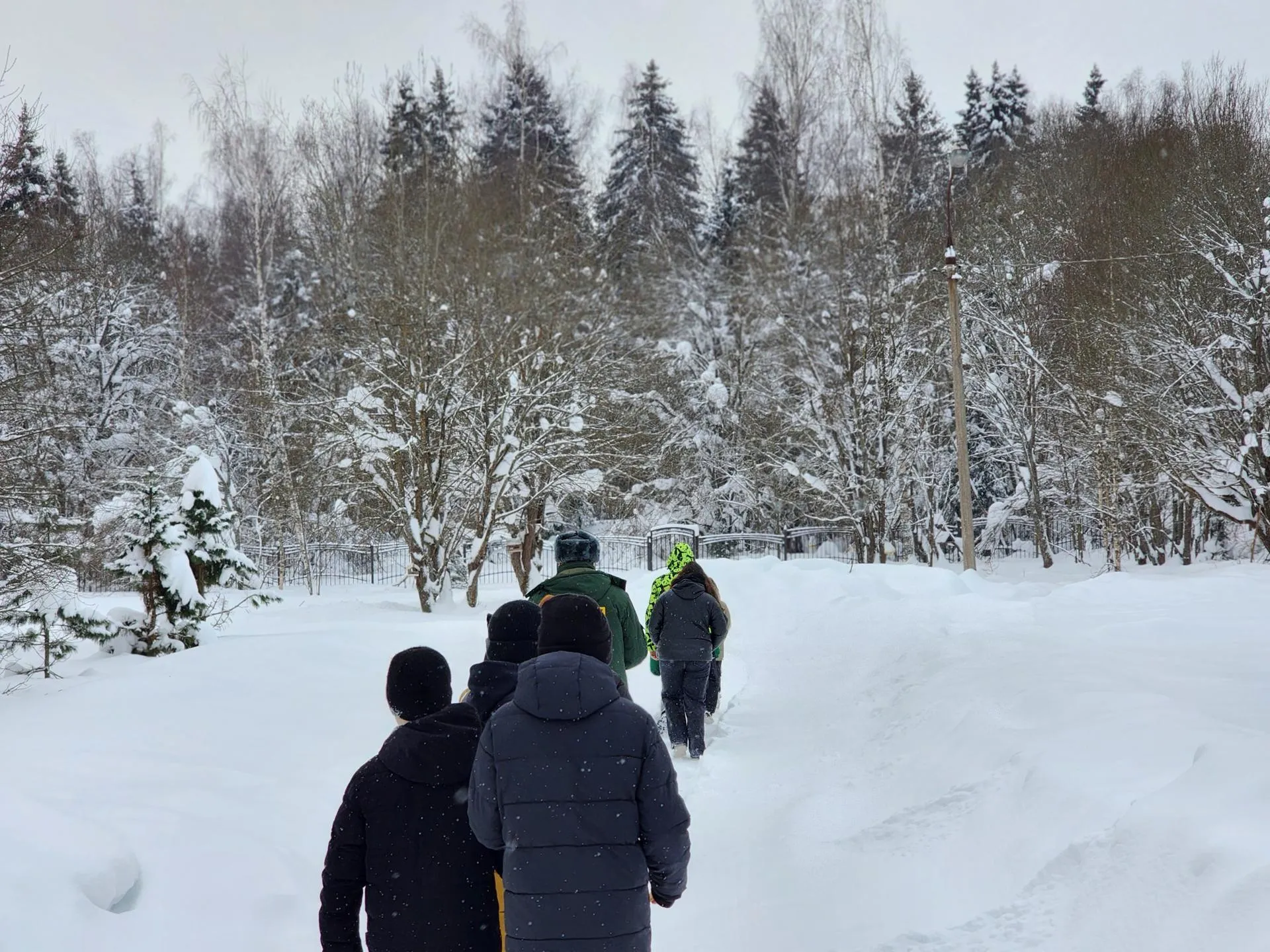 REGIONS/Елена Шумакова