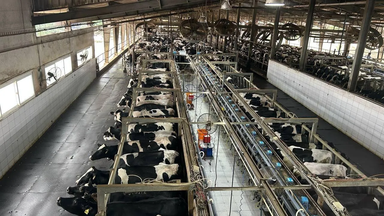 Губернатор Калужской области Владислав Шапша