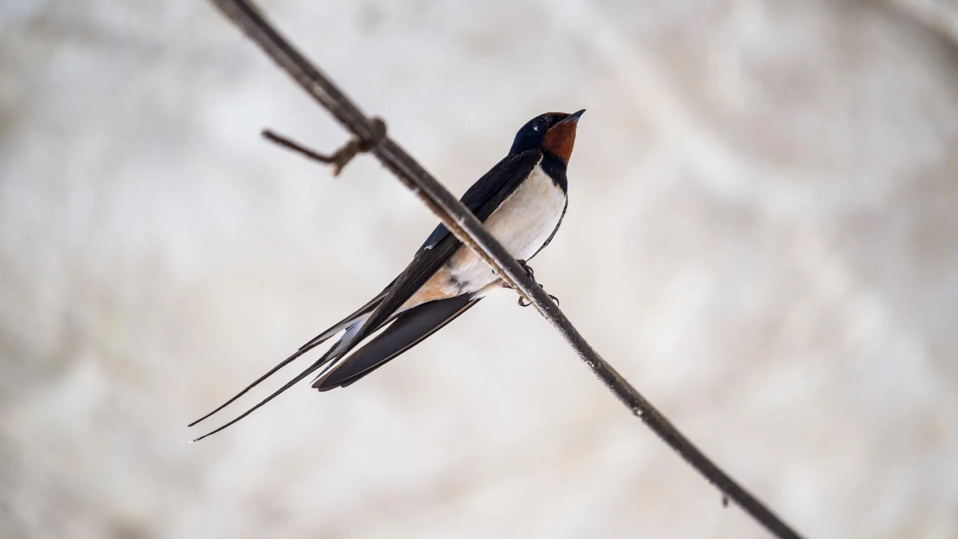 медиасток.рф