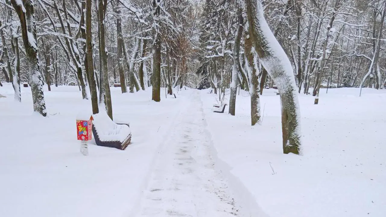 парк усадьбы Фряново