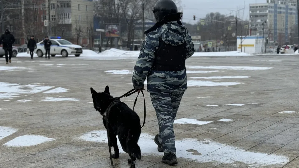 Фото: МедиаБанк Подмосковья/Полина Абраменко