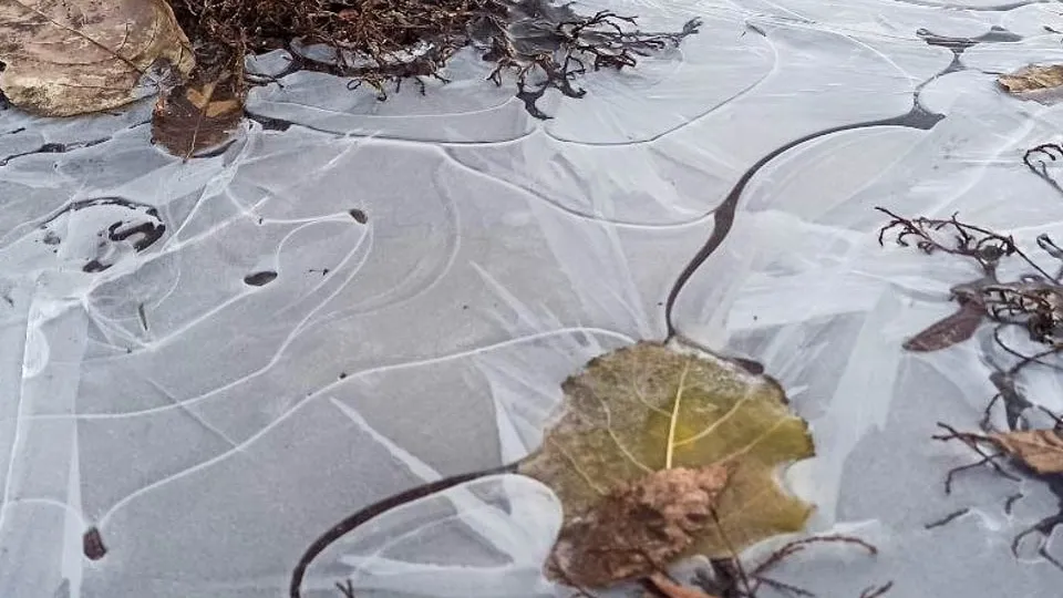 Фото: REGIONS/Эльвира Сафина