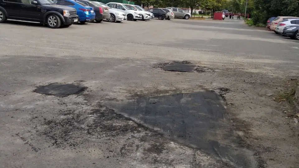 Фото: пресс-служба администрации г.о. Пушкино