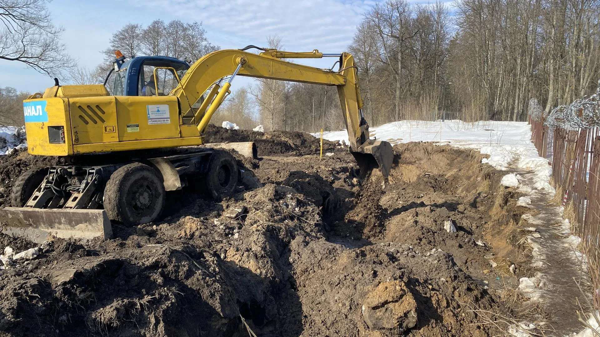 Анна Артюшина