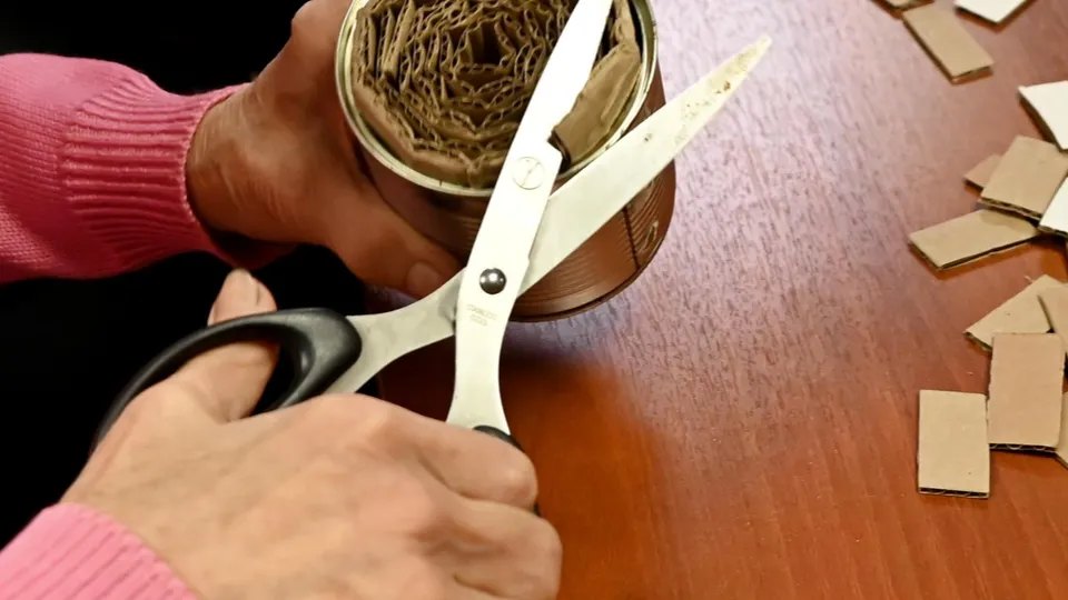 Фото: пресс-служба администрации г.о. Ленинский