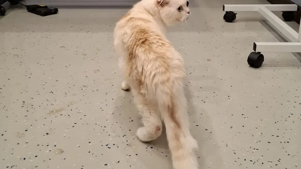 Фото: из личного архива Валерии Перчаткиной