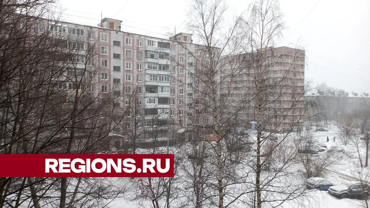 Фото: Олег Книжник