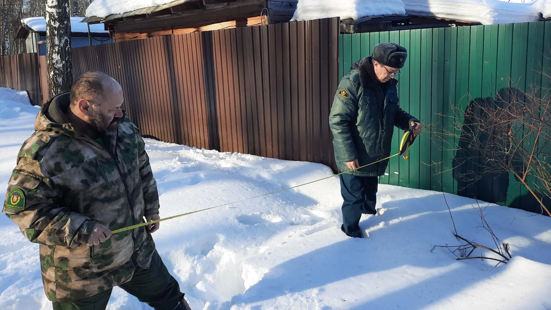 В Подольске выявили три случая самозахвата земель лесного фонда