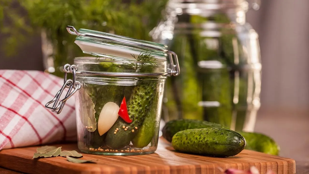 Молоко и йод: делимся секретом выращивания вкусных огурцов