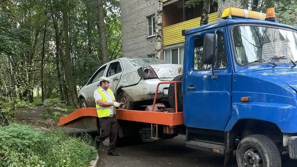 Фото: пресс-служба администрации г.о. Лобня