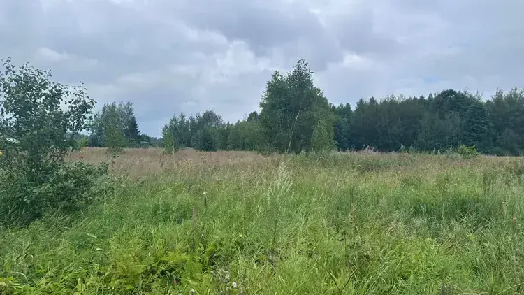 Участок на торгах