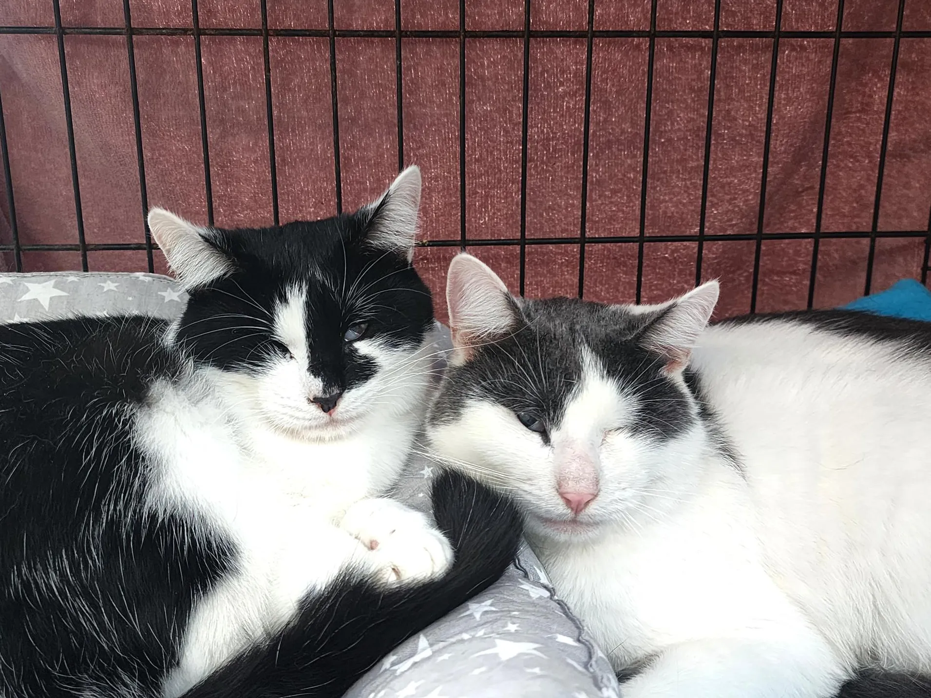 Фото: Анна Тюрюмина&nbsp; &nbsp; &nbsp; &nbsp; &nbsp;&nbsp;