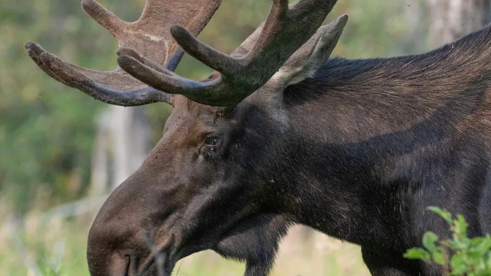 Фото: unsplash.com