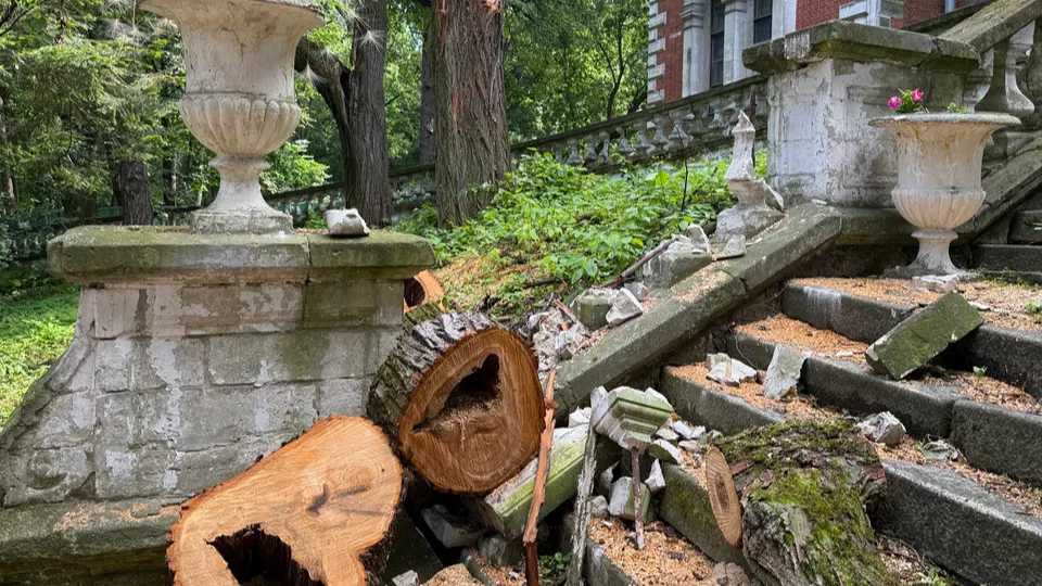 Фото: Ольга Стаферова