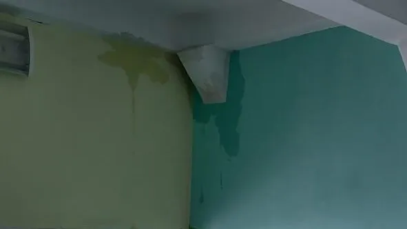 Фото соцсети.