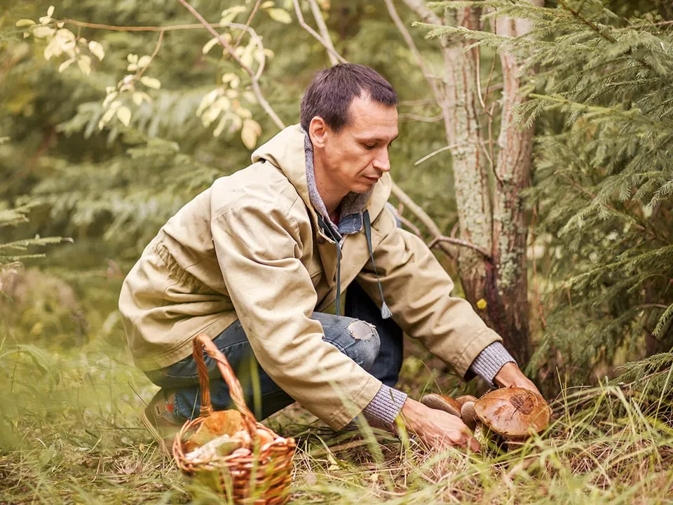 Фото: istockphoto.com/EduardSV