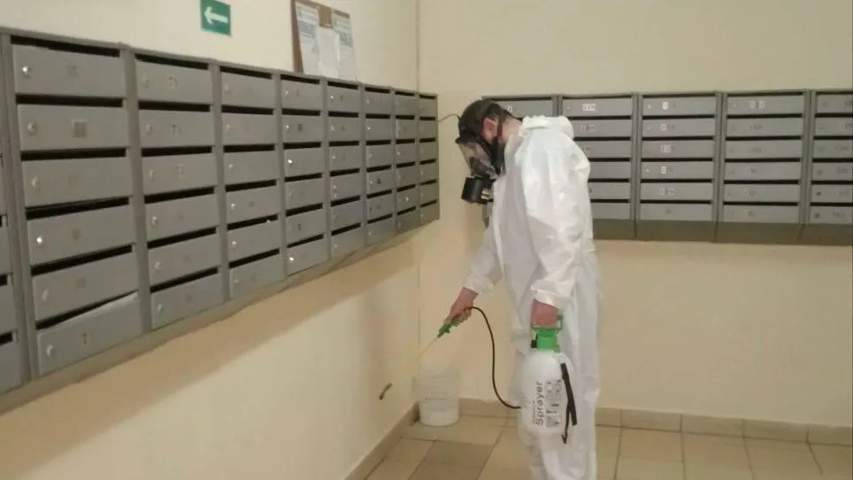 От дезинсекции до видеокамер: как жильцы Ивантеевки и УК объединились ради чистого и безопасного дома