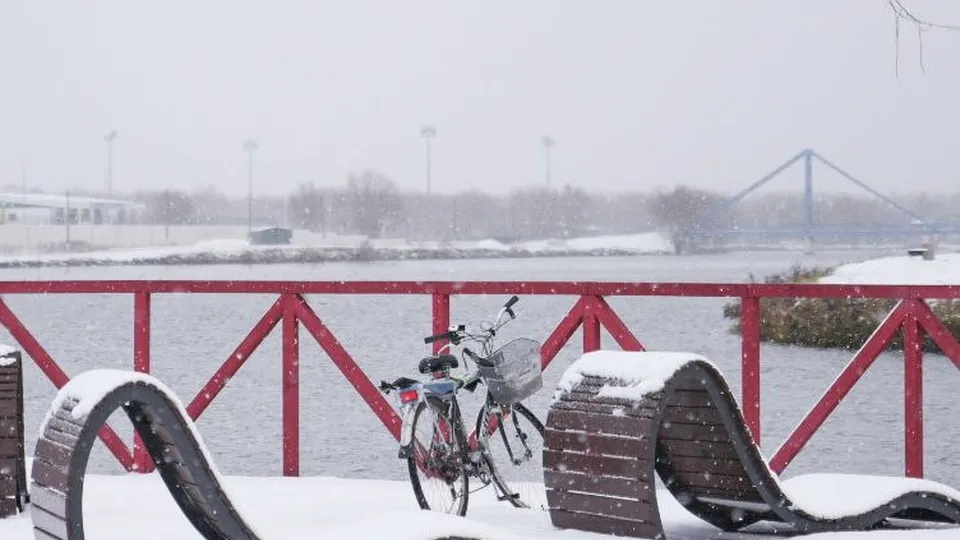 Фото: Ольга Антонова