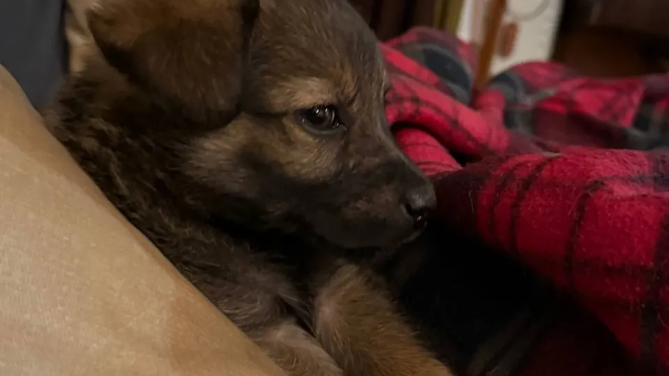 Фото: соцсети