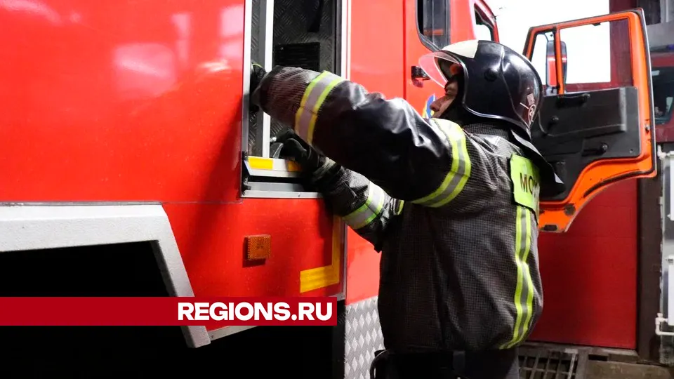 Фото: REGIONS/Василий Тремасов