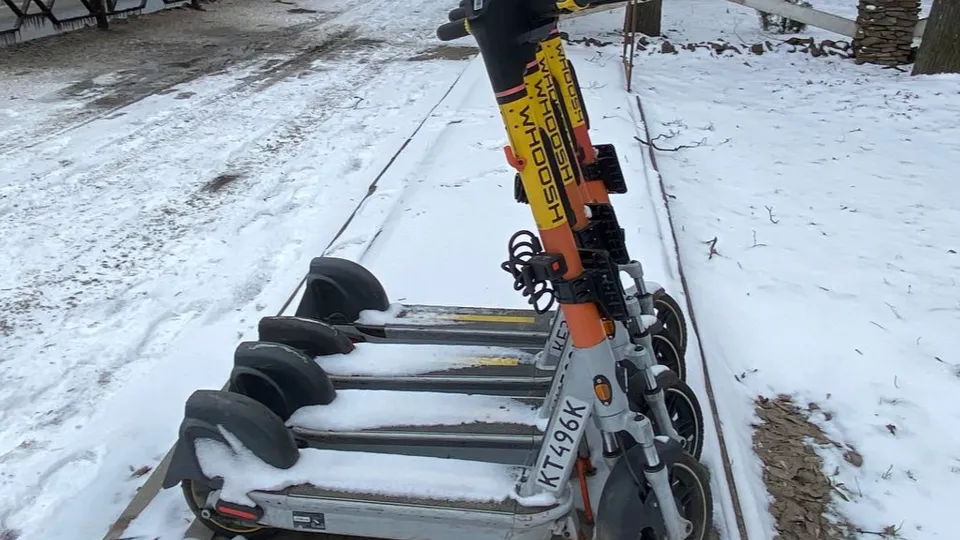 Фото: МедиаБанк Подмосквья/Юлиан Миранду