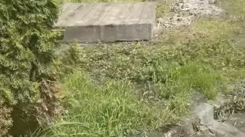 Фото: соцсети