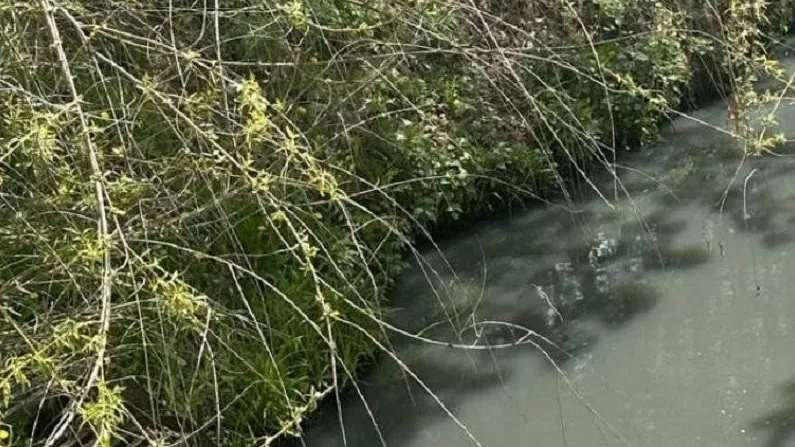 Фото: Министерство экологии и природопользования Московской области