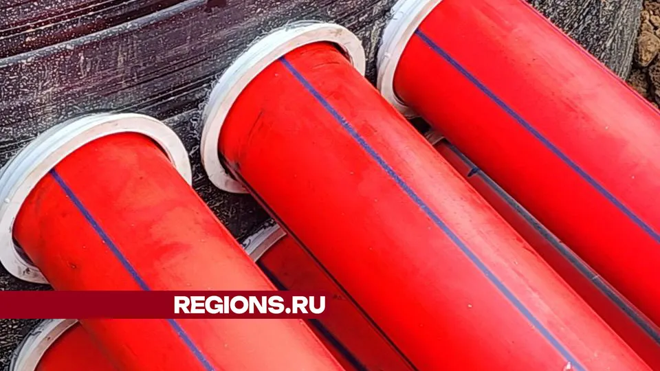 Фото: Дмитрий Беденко