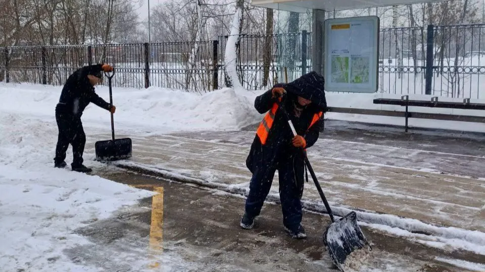 Фото: пресс-служба администрации г.о. Долгопрудный