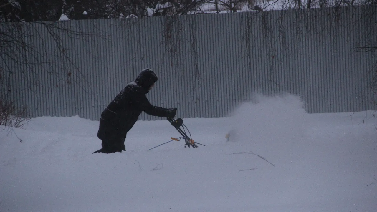 REGIONS/Василий Тремамсов